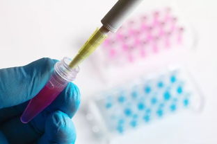 痛心！《柳葉刀》 一年新增30萬年輕癌癥病人，4種癌奪走他們的生命